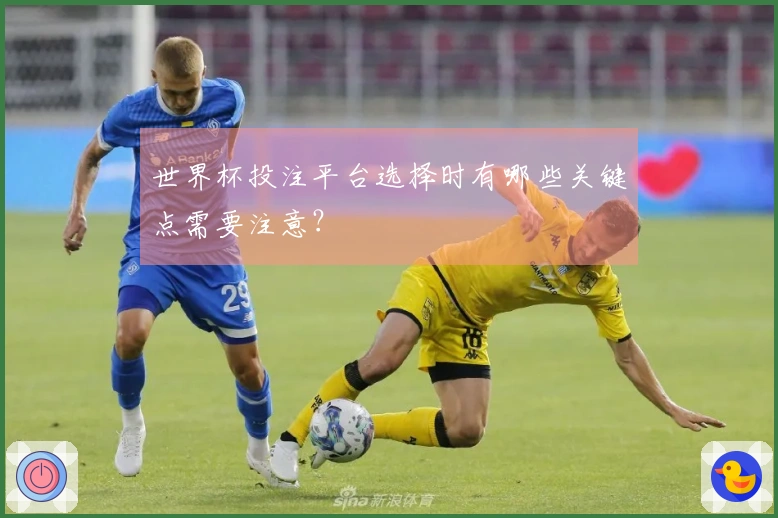 世界杯投注平台选择时有哪些关键点需要注意？